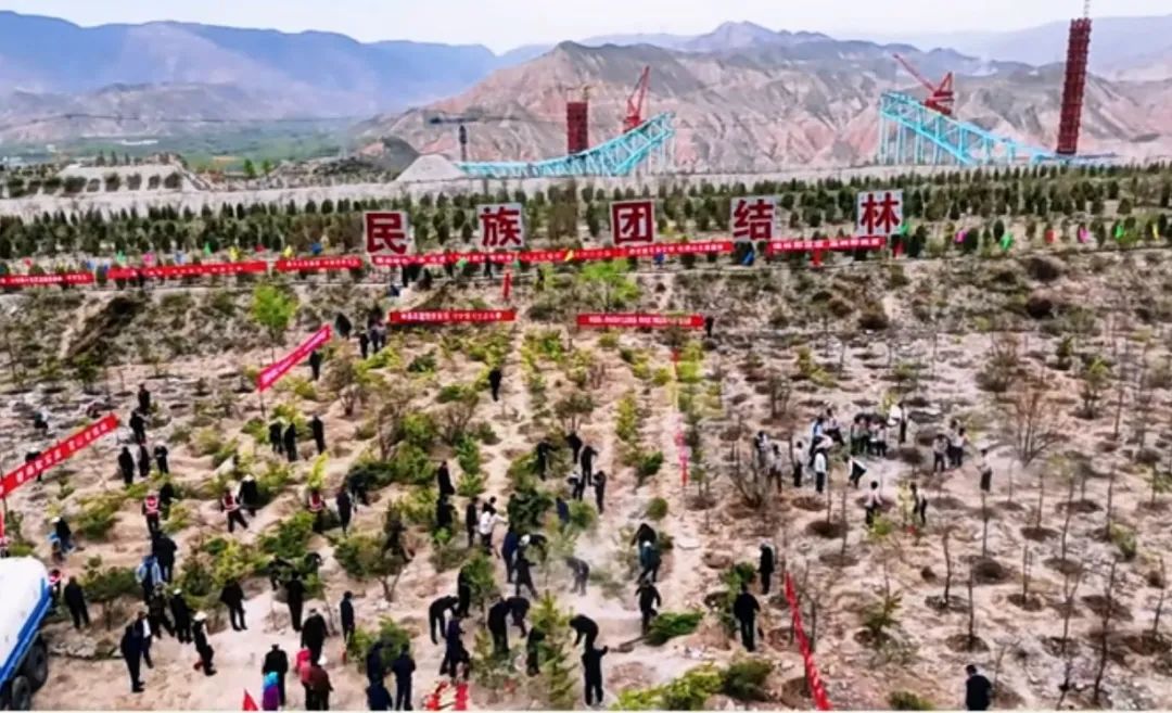 尖扎·化隆共建民族團(tuán)結(jié)進(jìn)步林活動(dòng)啟幕